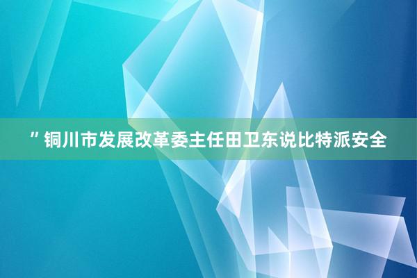 ”铜川市发展改革委主任田卫东说比特派安全