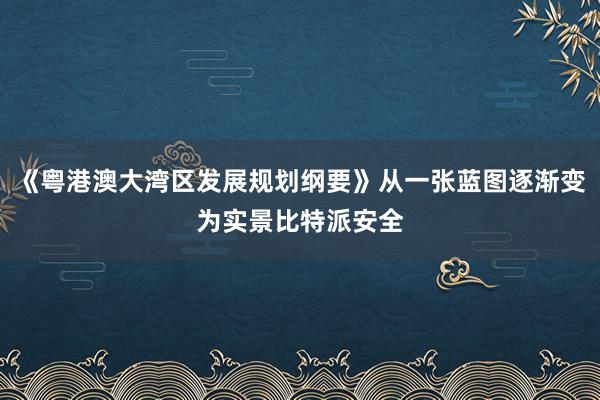 《粤港澳大湾区发展规划纲要》从一张蓝图逐渐变为实景比特派安全