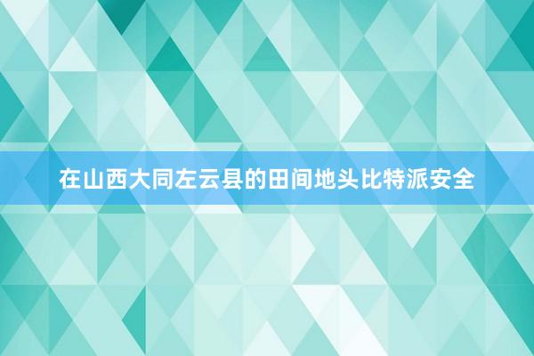 在山西大同左云县的田间地头比特派安全