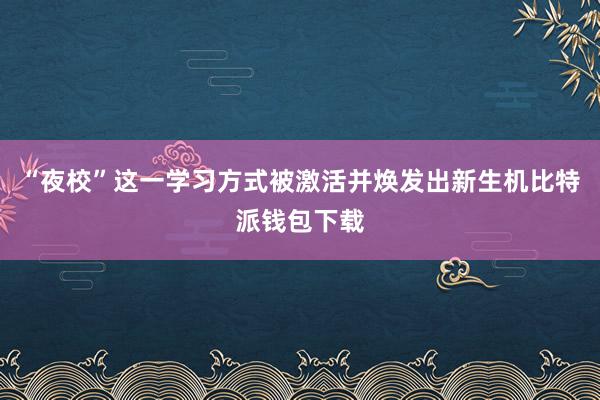 “夜校”这一学习方式被激活并焕发出新生机比特派钱包下载