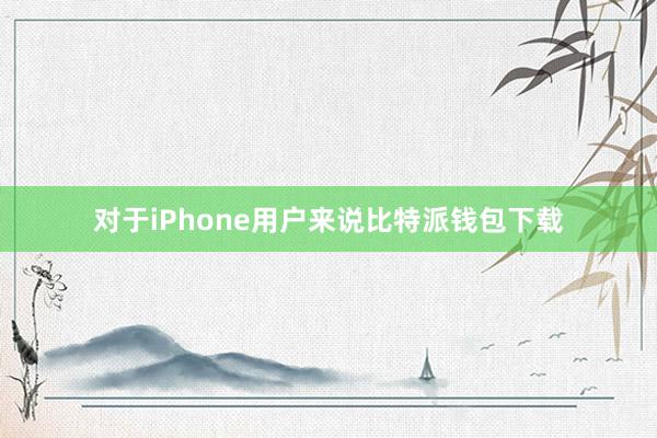 对于iPhone用户来说比特派钱包下载