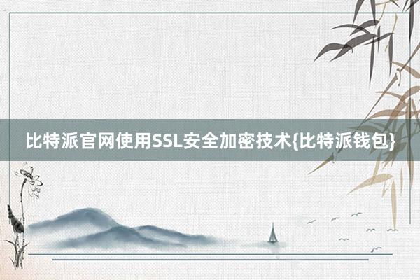 比特派官网使用SSL安全加密技术{比特派钱包}