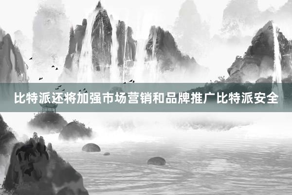 比特派还将加强市场营销和品牌推广比特派安全