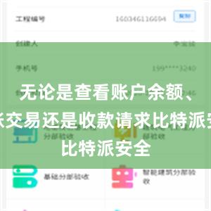 无论是查看账户余额、转账交易还是收款请求比特派安全