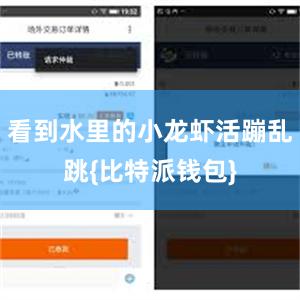 看到水里的小龙虾活蹦乱跳{比特派钱包}