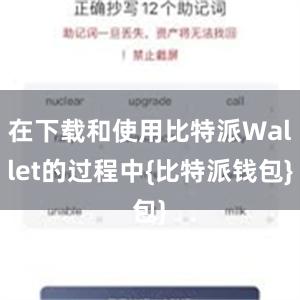 在下载和使用比特派Wallet的过程中{比特派钱包}