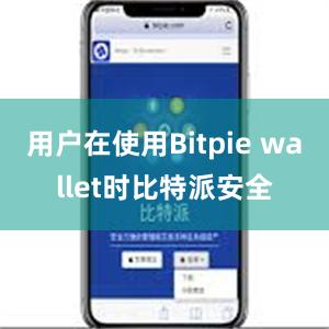 用户在使用Bitpie wallet时比特派安全