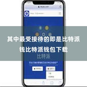 其中最受接待的即是比特派钱比特派钱包下载